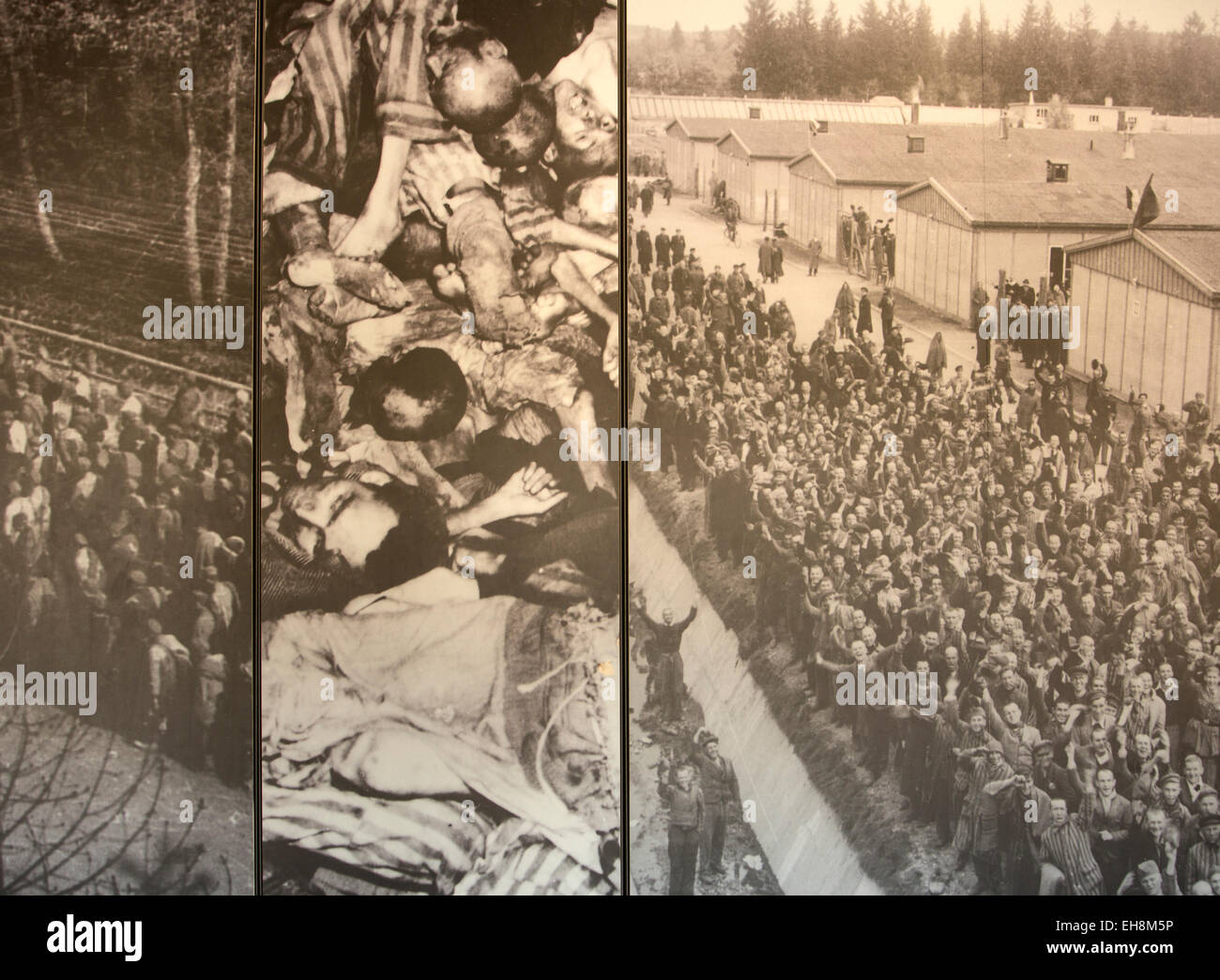 Dachau Concentration Camp, Germany, death and liberation photos in museum Stock Photo