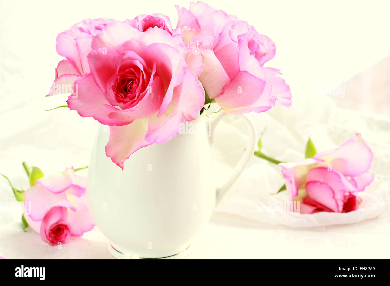 Beautiful romantic pink roses in a white vase still life Stock Photo ...
