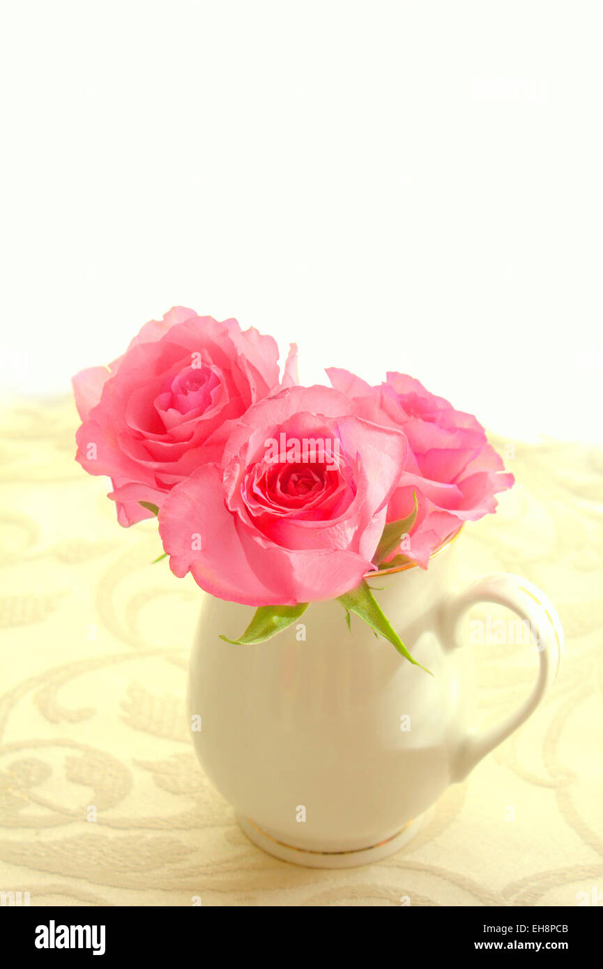 Beautiful romantic pink roses in a white vase still life Stock Photo ...