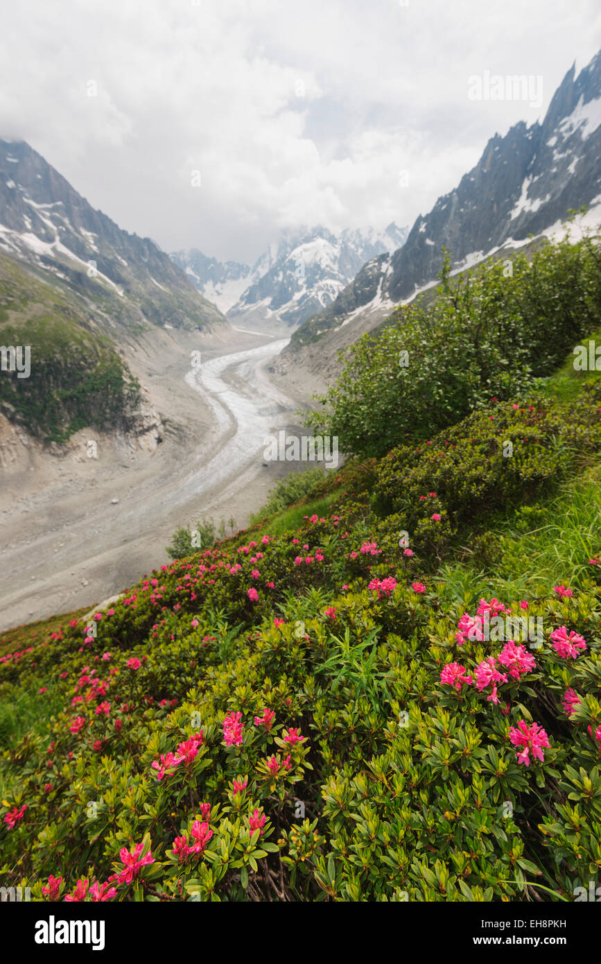 Europe, France, Haute Savoie, Rhone Alps, Chamonix Valley,  Mer de Glace Stock Photo