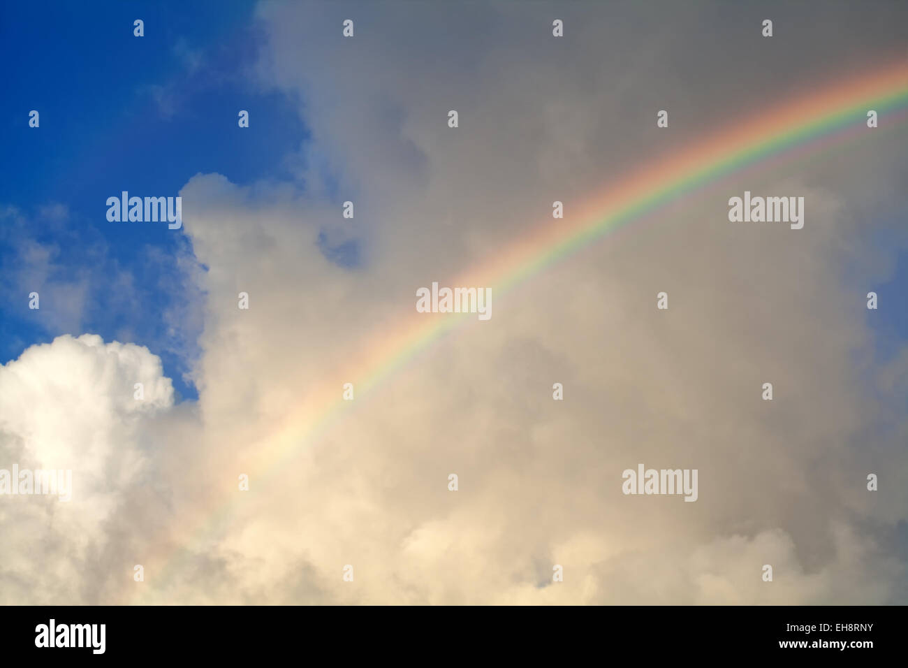 blue sky with rainbow after rain Stock Photo - Alamy