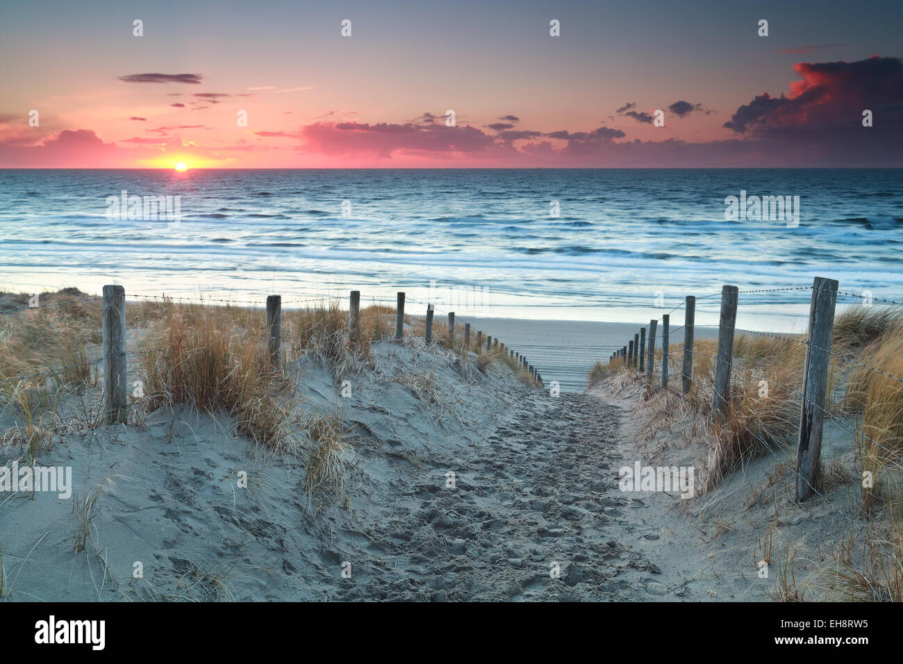sand path to North sea beach before sunset, Holland Stock Photo - Alamy