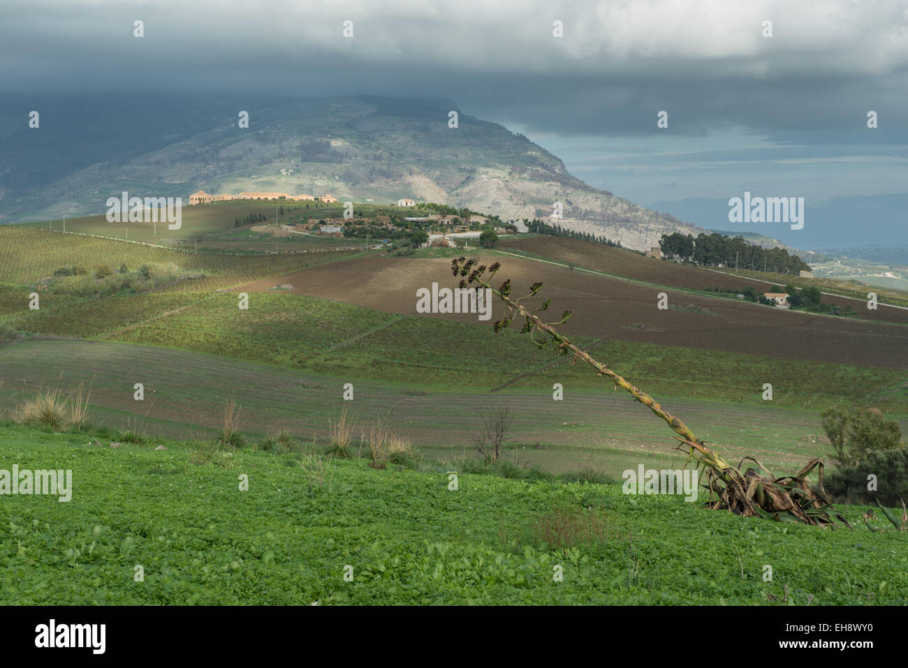 Countryside Around Segesta Stock Photo