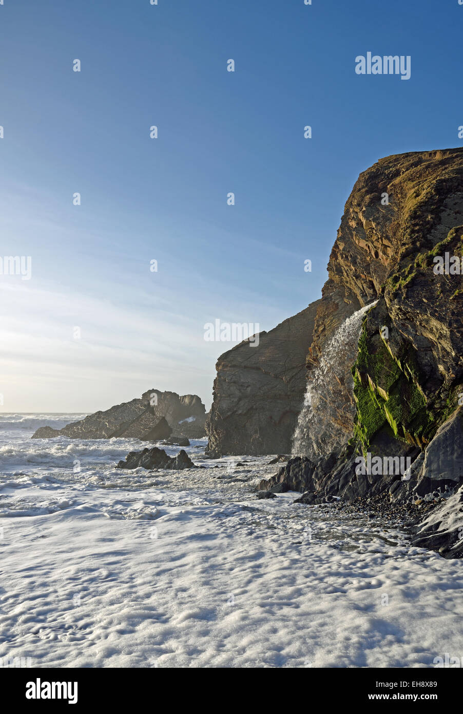 The beach andThe beach and Stowe Cliffs at Sandymouth, near Bude, North Corn cliffs at Sandymouth, near Bude, North Cornwall, UK Stock Photo