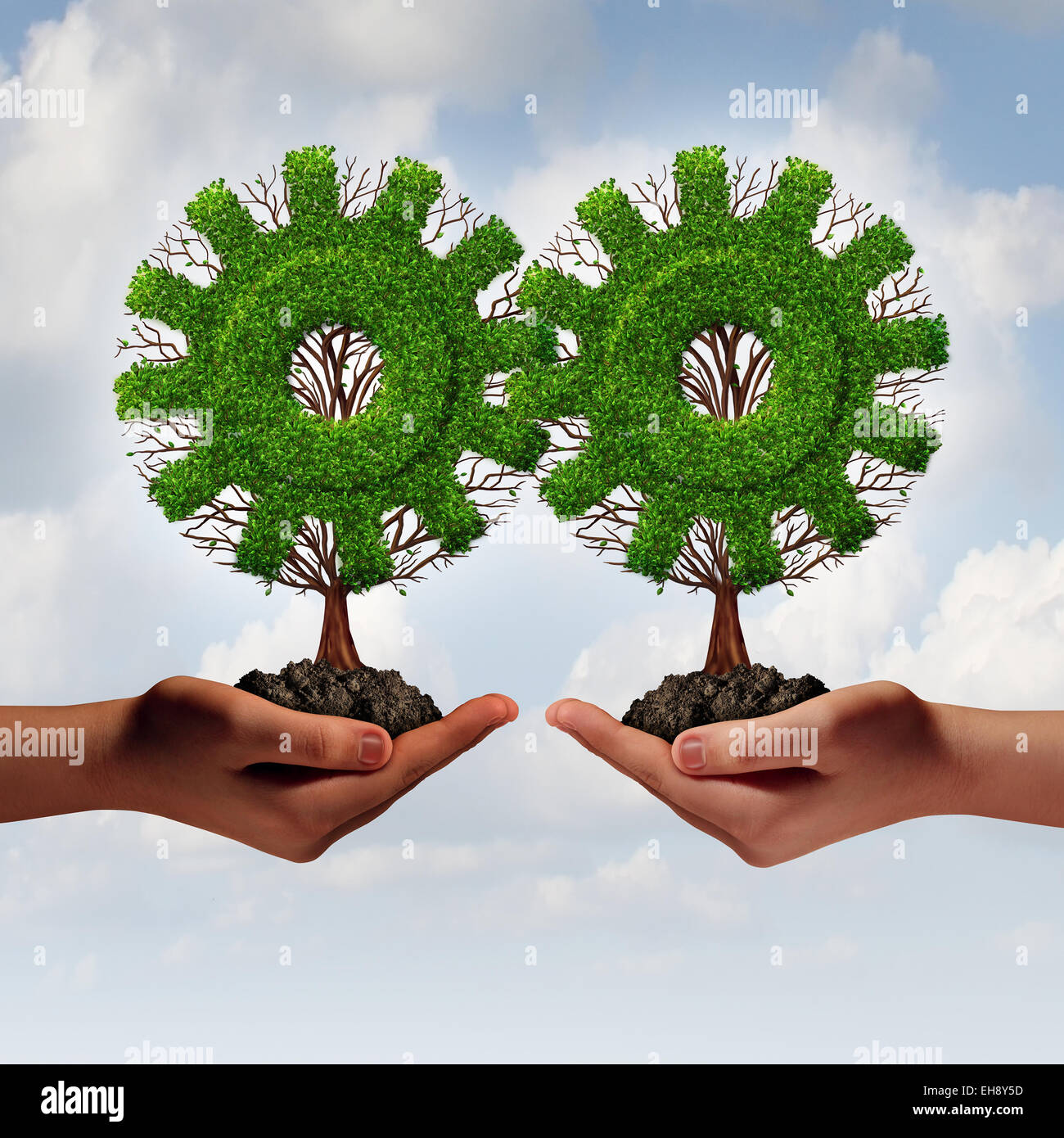 Team business strategy concept as two hands holding connected trees shaped as a gear or cog as a growing financial partnership united together for corporate growth and teamwork. Stock Photo
