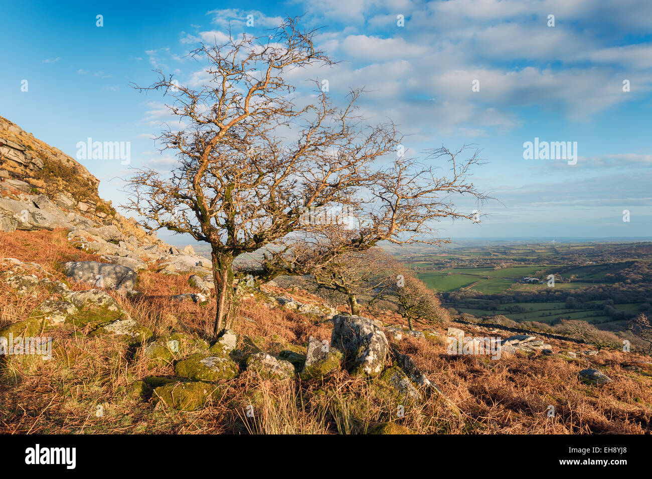 The Flooded Gold Diggings quarry on Bodmin Moor Stock Photo - Alamy