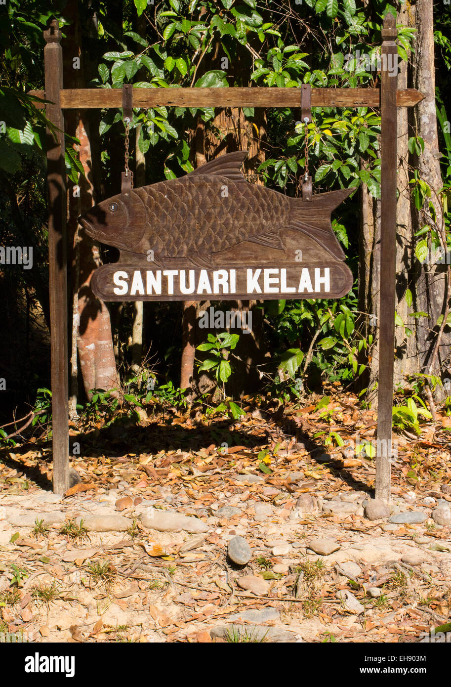 Fish Sanctuary Sign, Taman Negara National Park, Malaysia. The sanctuary breeds and protects Malayan Red Mahseer, Tor tambroides Stock Photo