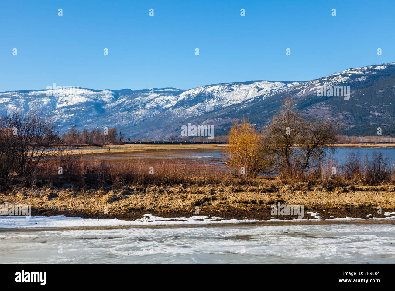 Springtime view of Shuswap Lake at Salmon Arm with parts of the lake