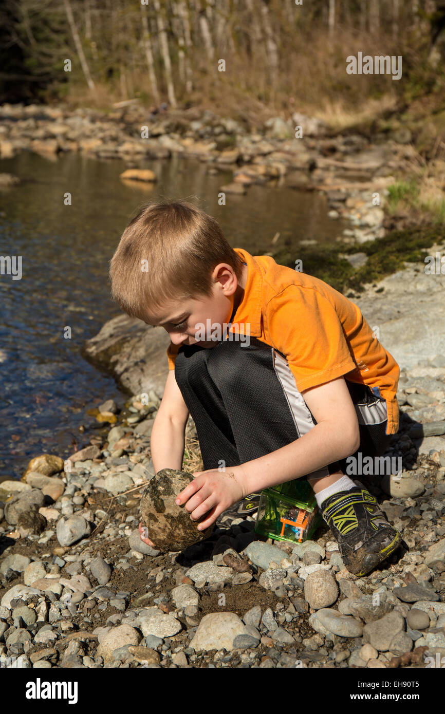Seven year old boy searching for insects by turning over rocks, in Olallie State Park, in North Bend, Washington, USA Stock Photo