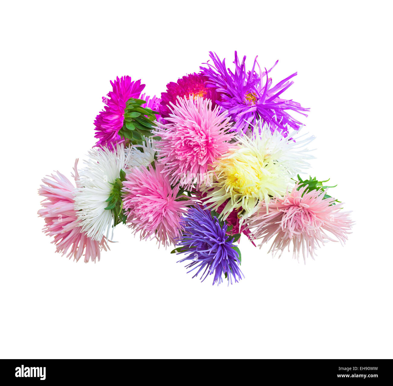 white new balance shorts