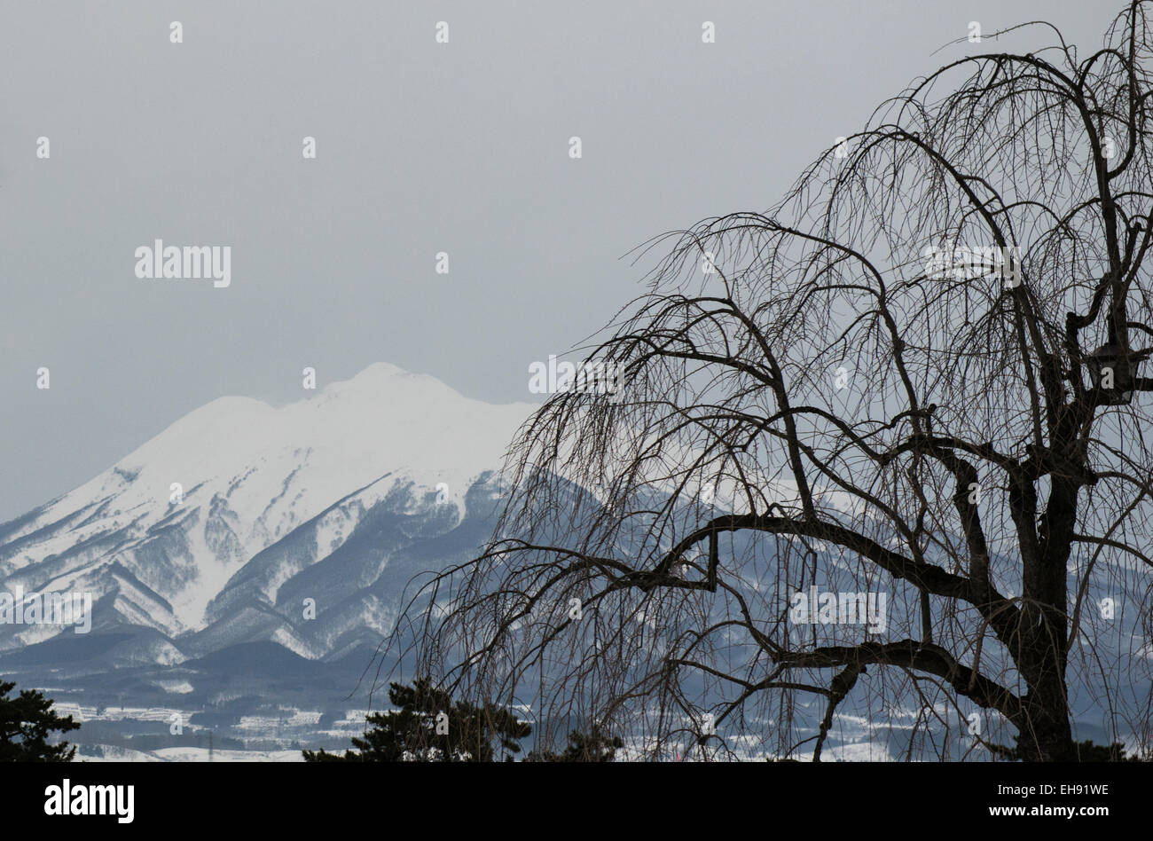 Mount Iwaki (Iwaki San) in Aomori prefecture, Tohoku, Japan Stock Photo