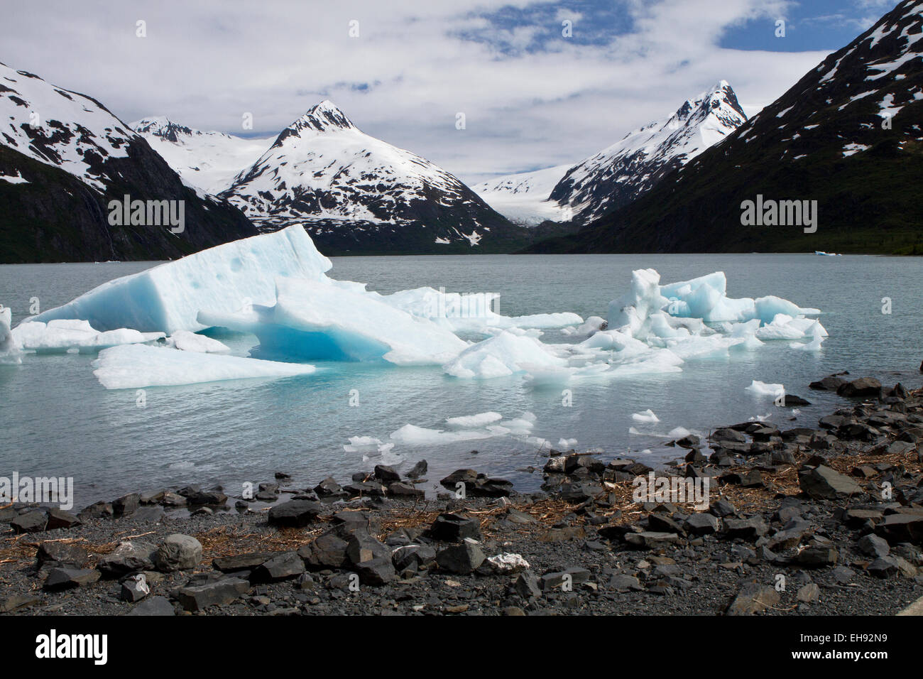 Icebergs in Portage Lake, Chugach National Forest, Alaska Stock Photo
