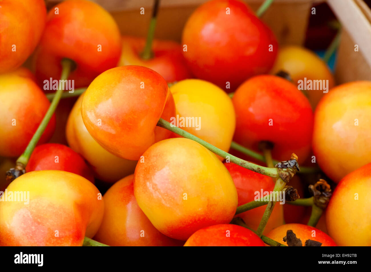 Bing cherries in a box for sale at a Chicago farmers market Stock Photo