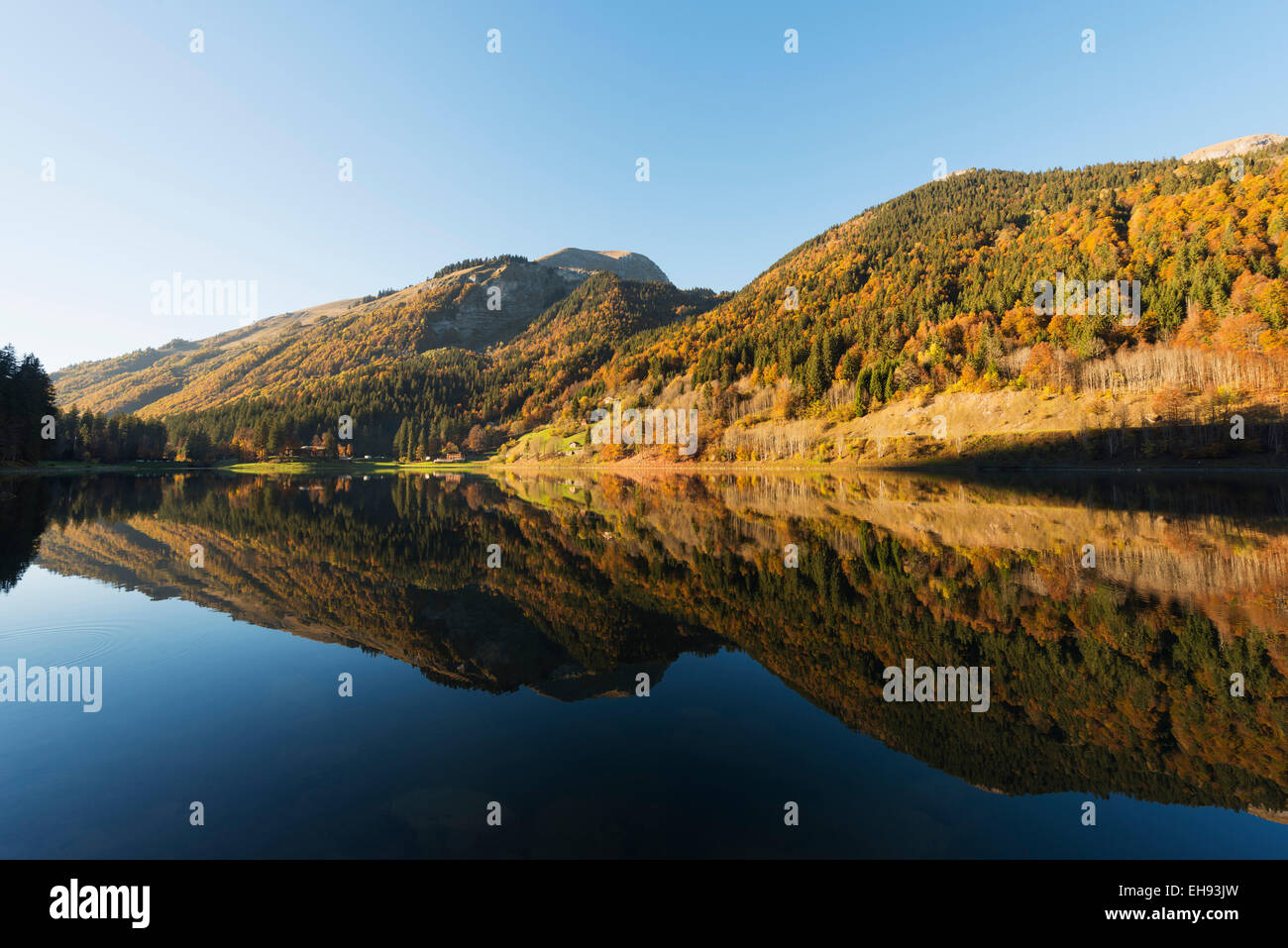 Europe, France, Haute Savoie, Rhone Alps, Morzine, Lac de Montriond, alpine lake Stock Photo