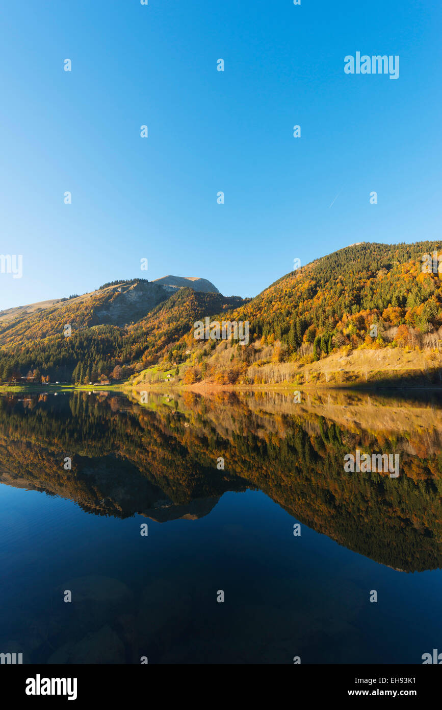 Europe, France, Haute Savoie, Rhone Alps, Morzine, Lac de Montriond, alpine lake Stock Photo