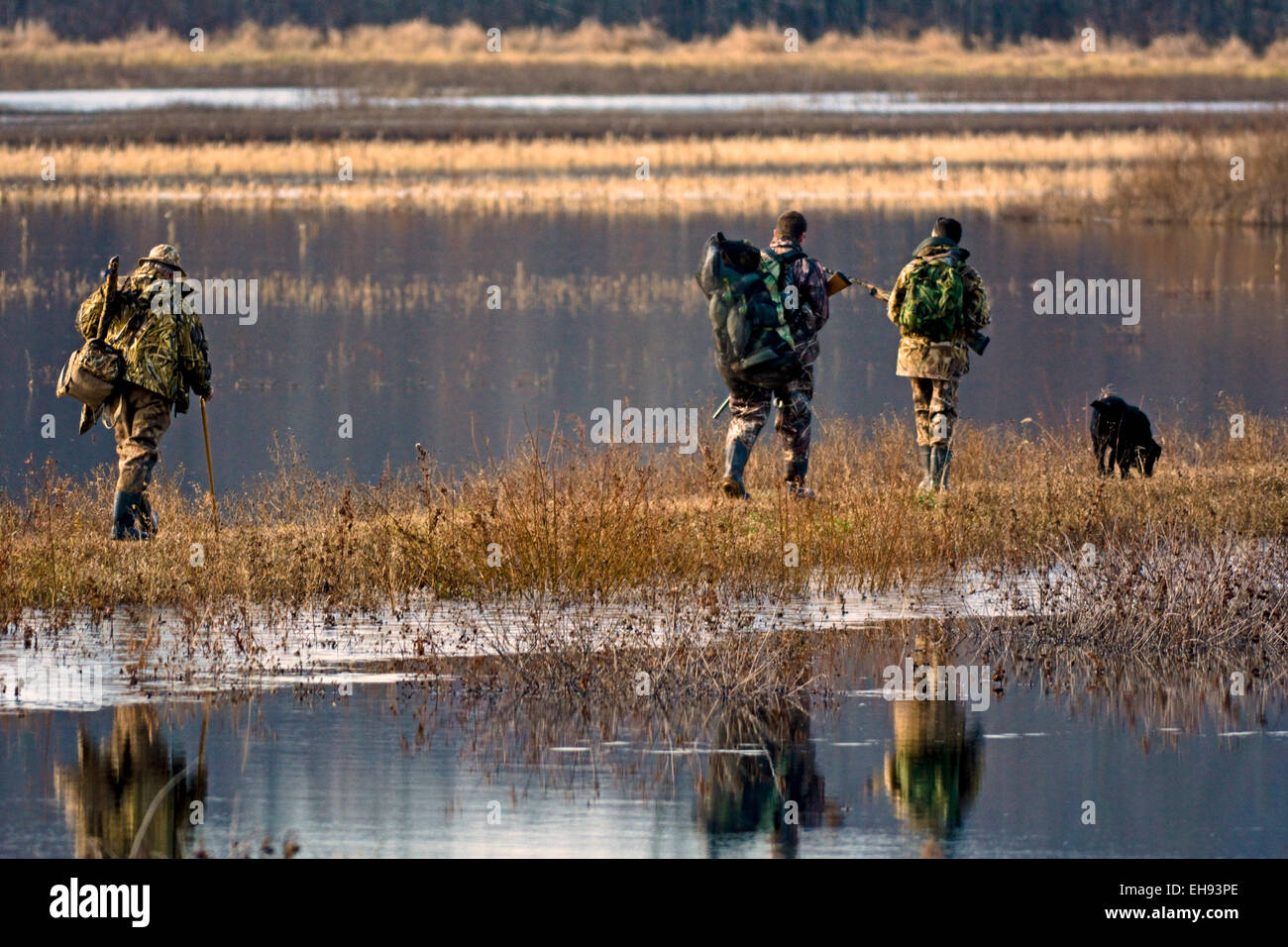 Three duck hunters crossing a levee with their hunting gear in tow point to some ducks on the way to a blind outside Bloomington Stock Photo