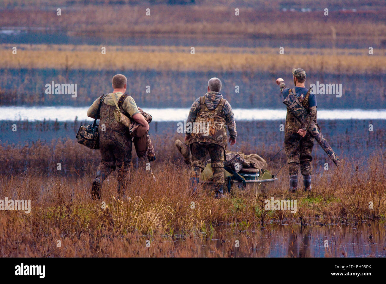 Men duck hunting hires stock photography and images Alamy