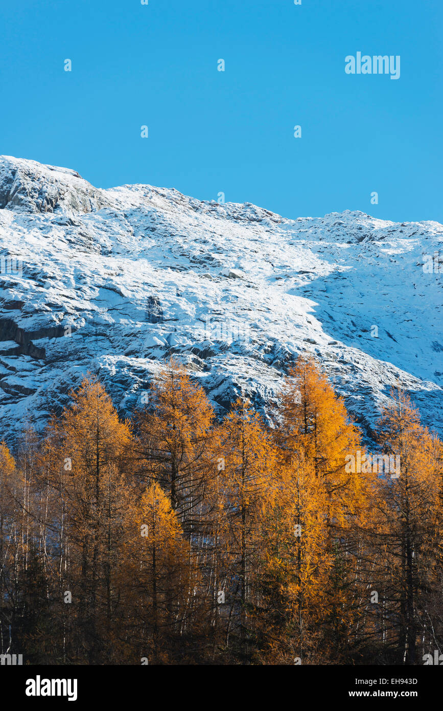 Europe, France, Haute Savoie, Rhone Alps, Chamonix,  autumn colours at Le Tour Stock Photo