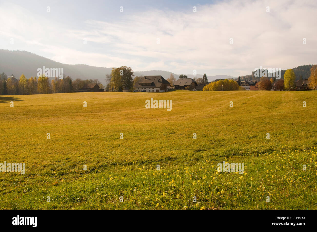 Sloping field in autumn German landscape Stock Photo