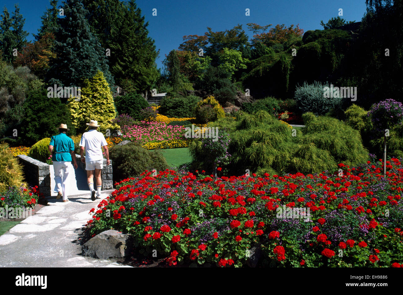 Senior Couple walking through Flower Gardens in Queen Elizabeth Park, Vancouver, BC, British Columbia, Canada - Summer Stock Photo