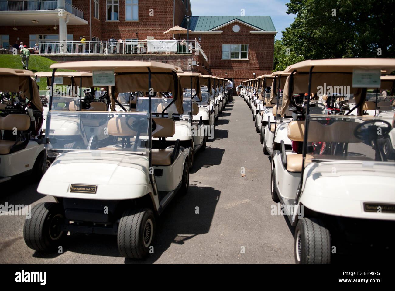 Carts lined up at golf course - USA Stock Photo