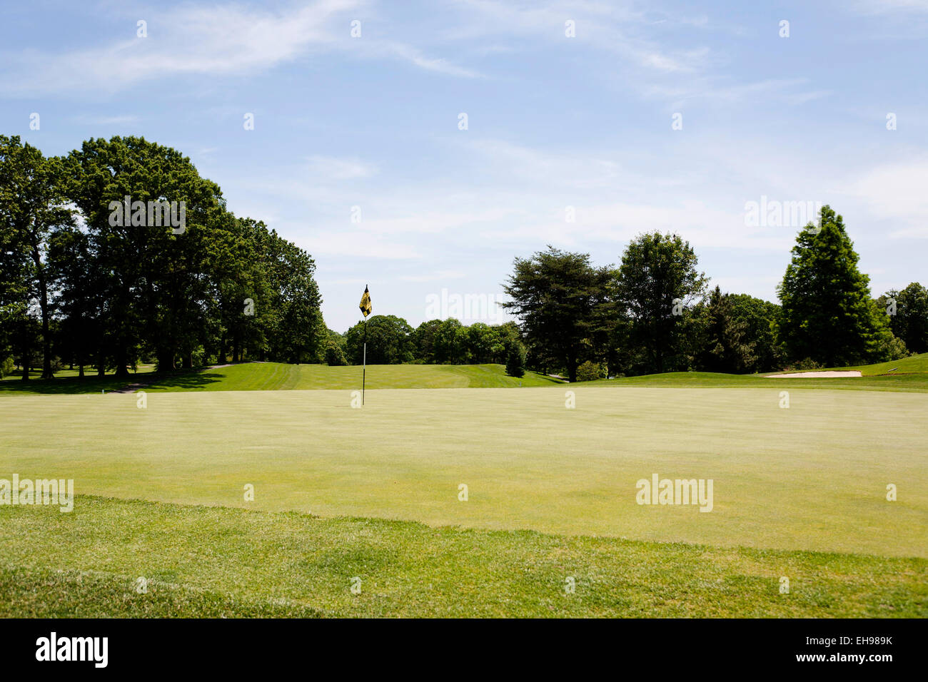 Golf course putting green - USA Stock Photo