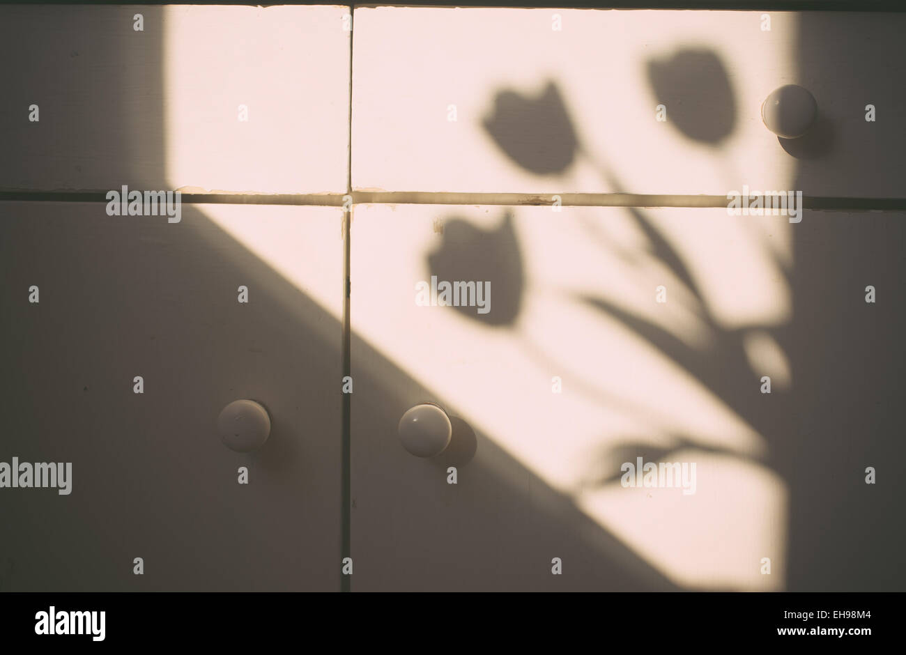 Shadow of a bouquet of tulips on an old a kitchen cupboard Stock Photo