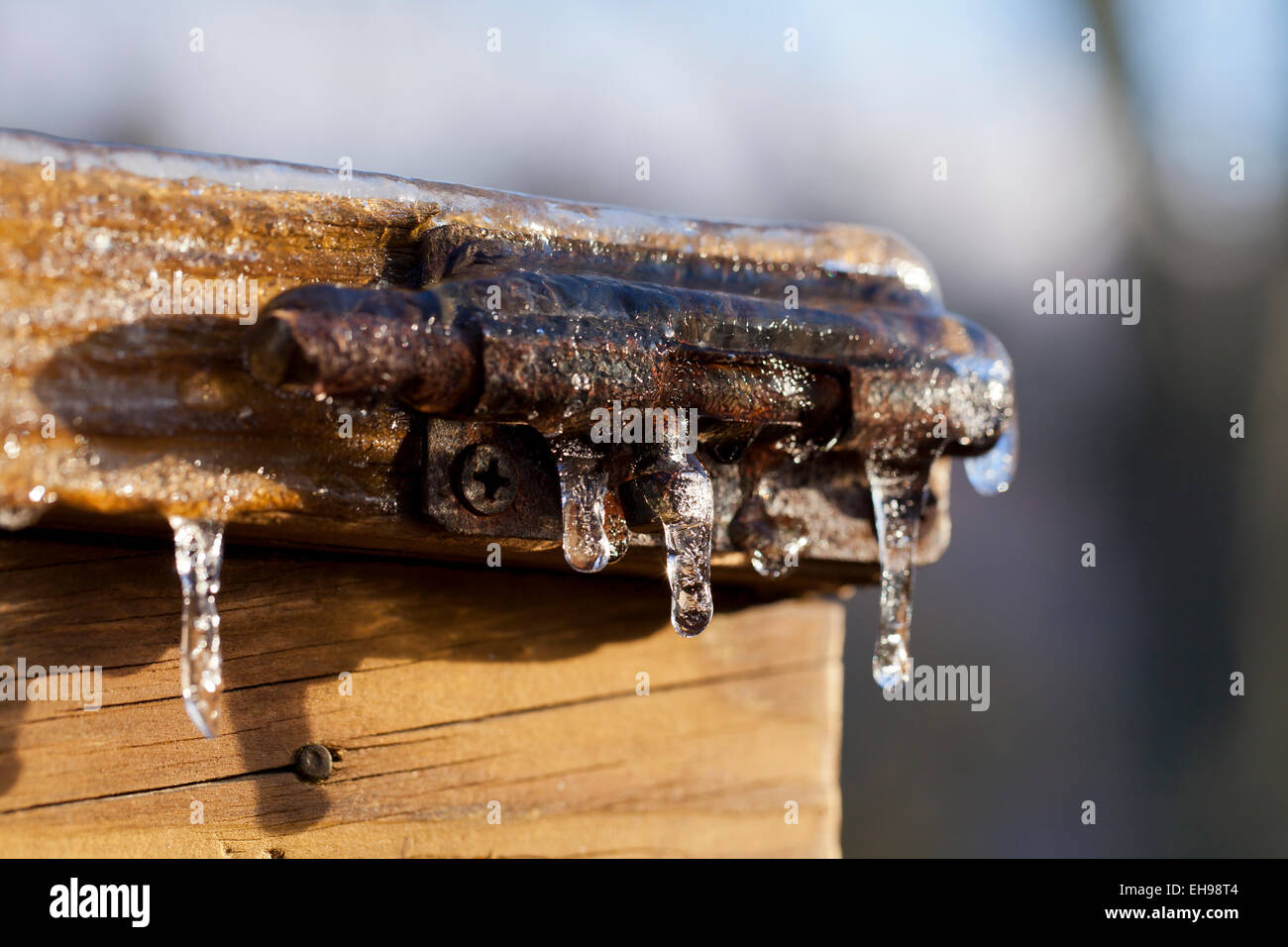 Sliding latch lock covered in ice after freezing rain event - USA Stock Photo