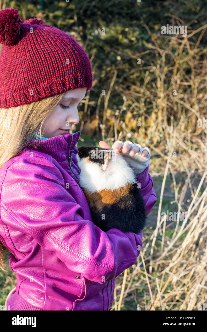 A girl holding a guinea pig on the arm Stock Photo