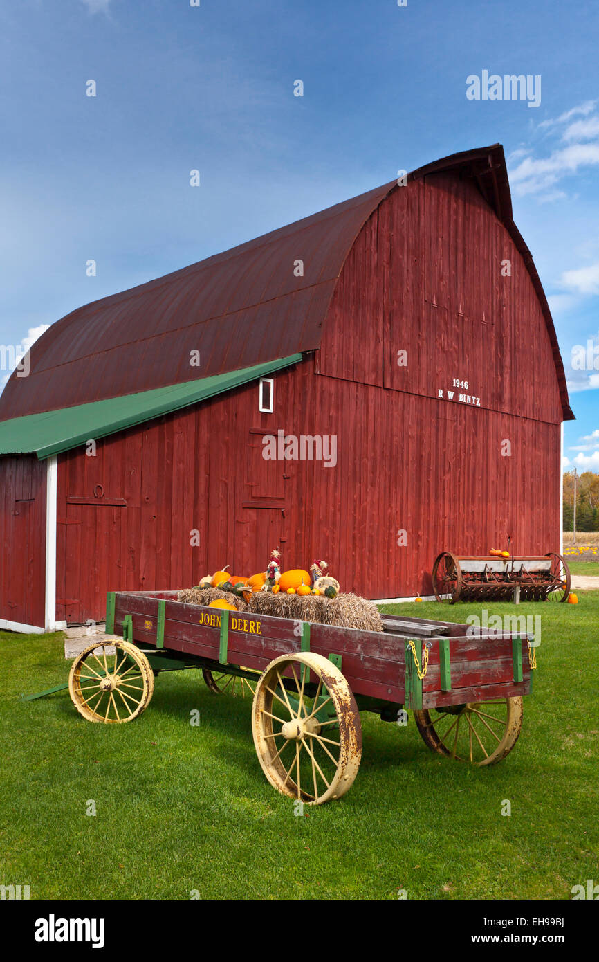 Pumpkins for sale and displayed at the Sturgeon Pumpkin Barn farm near