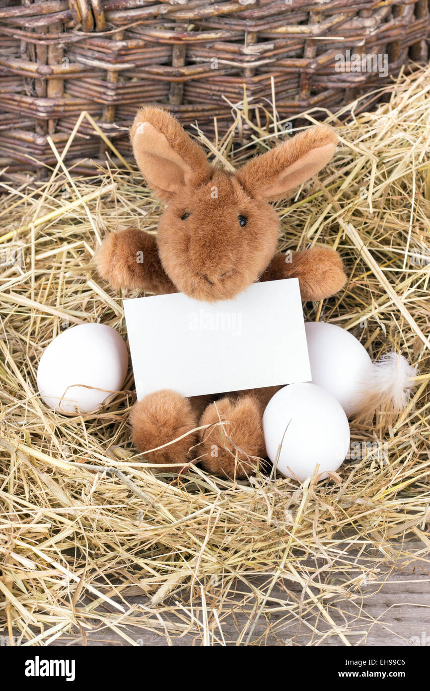 https://c8.alamy.com/comp/EH99C6/easter-bunny-sitting-on-straw-with-eggs-and-holds-a-card-EH99C6.jpg