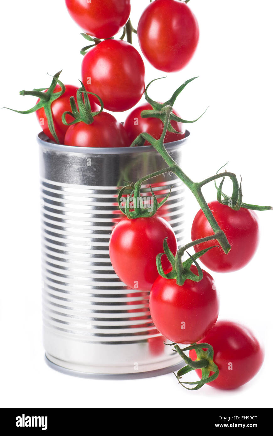 Tomatoes in a tin can on white background. Stock Photo