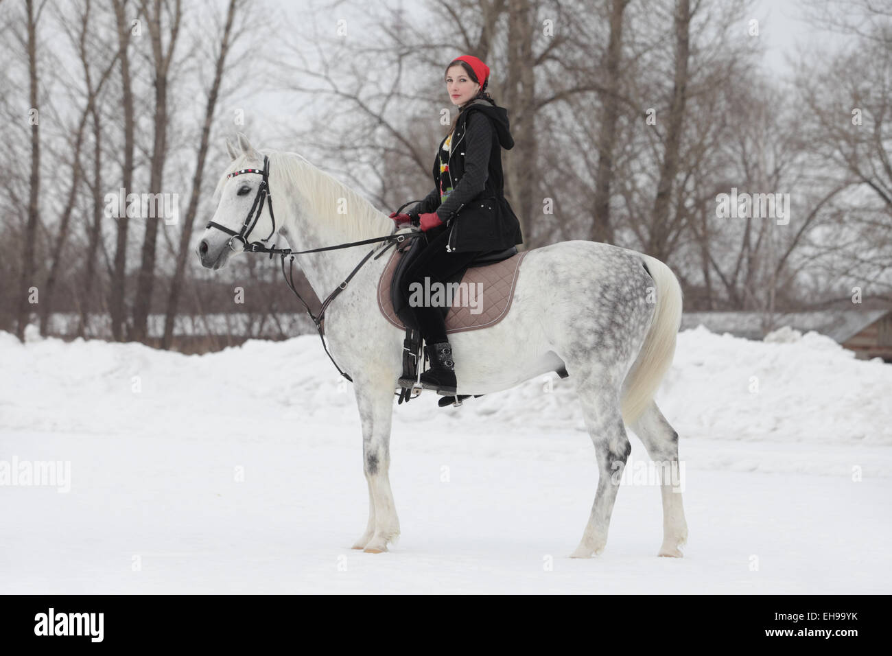 Attractive young woman riding a horse in the snow Stock Photo