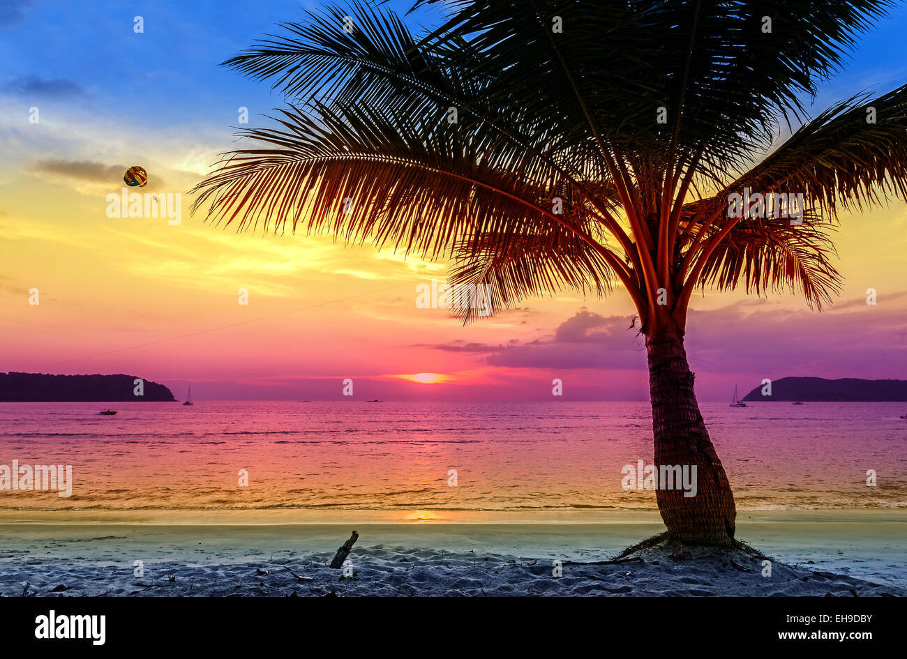 Holiday background made of palm trees silhouettes at sunset Stock Photo ...
