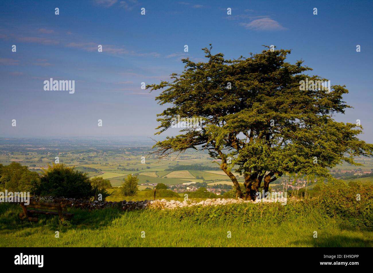 View from Deerleap picnic area, Mendip Hills, Somerset Stock Photo