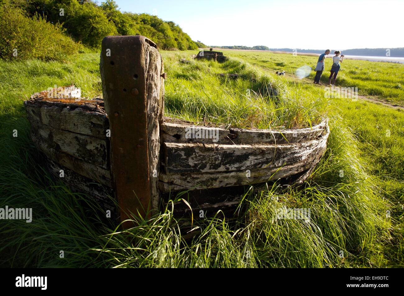 One of the Purton Hulks, boats beached to protect Gloucester