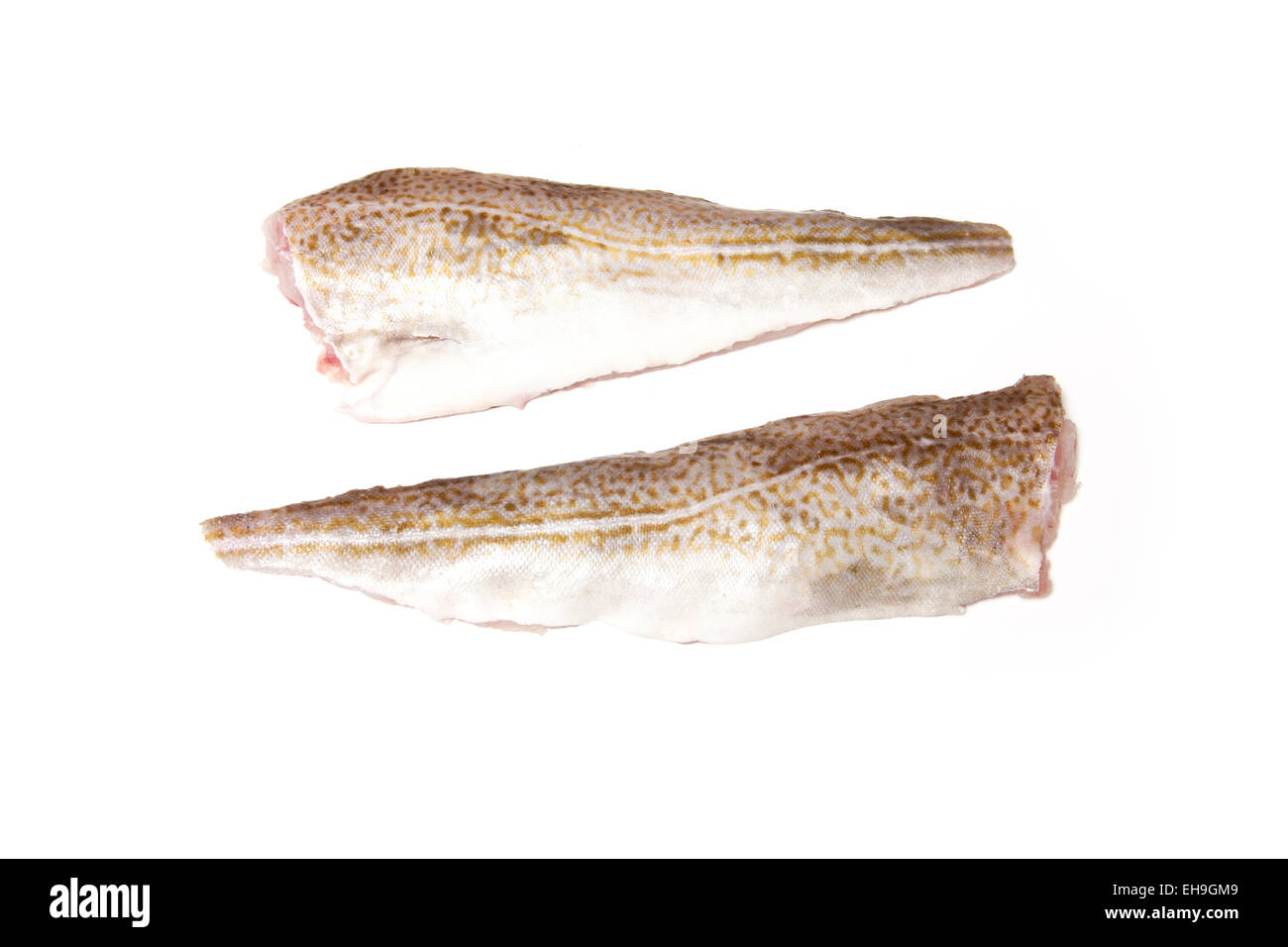 Fillets of Cod Fish isolated on a white studio background Stock Photo ...