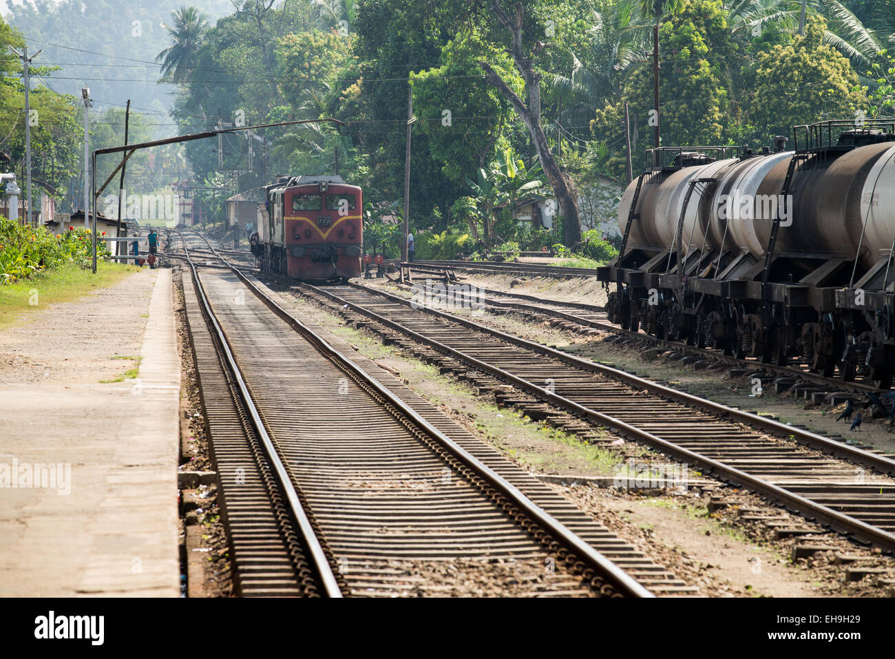 Where to go in sri lanka hi-res stock photography and images - Alamy