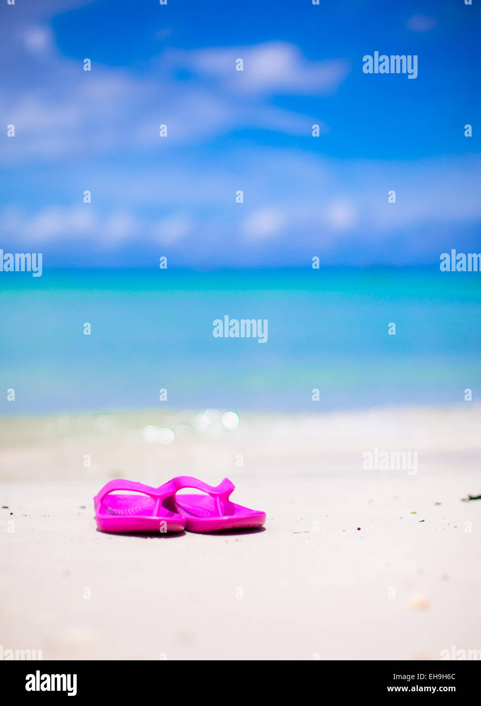 Pink vibrant beach flip flops on white sand on sea background Stock ...