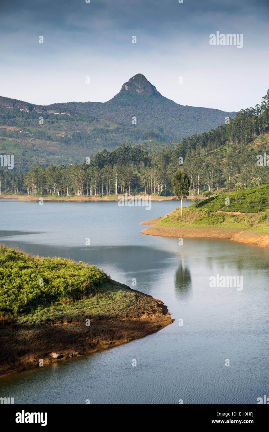 Maskeliya Lake and Adam's Peak, Sri Lanka, Asia Stock Photo - Alamy