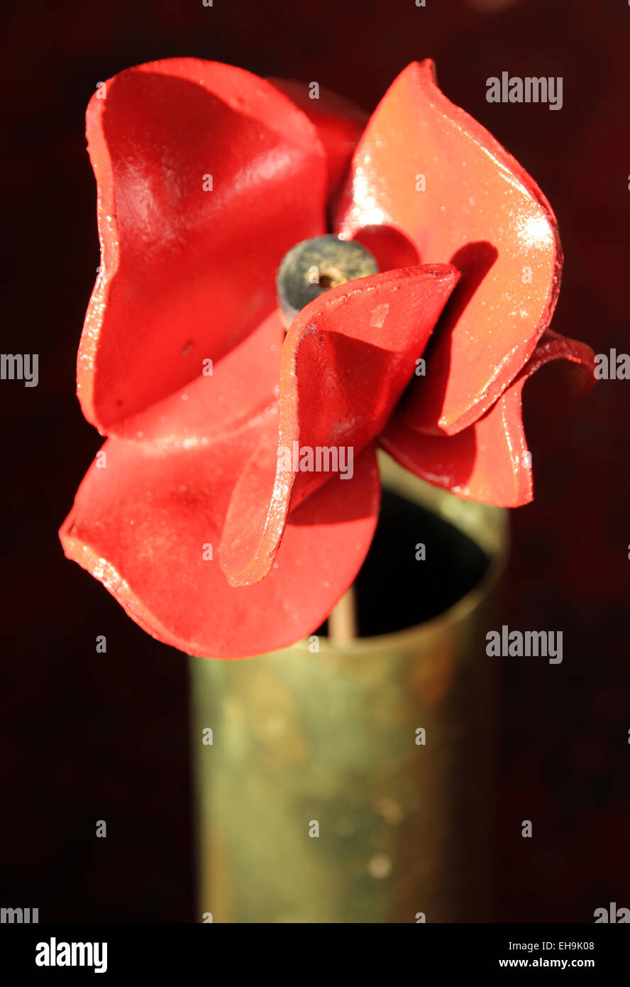 commemoration ceramic poppy in brass world war artillery shell Stock Photo