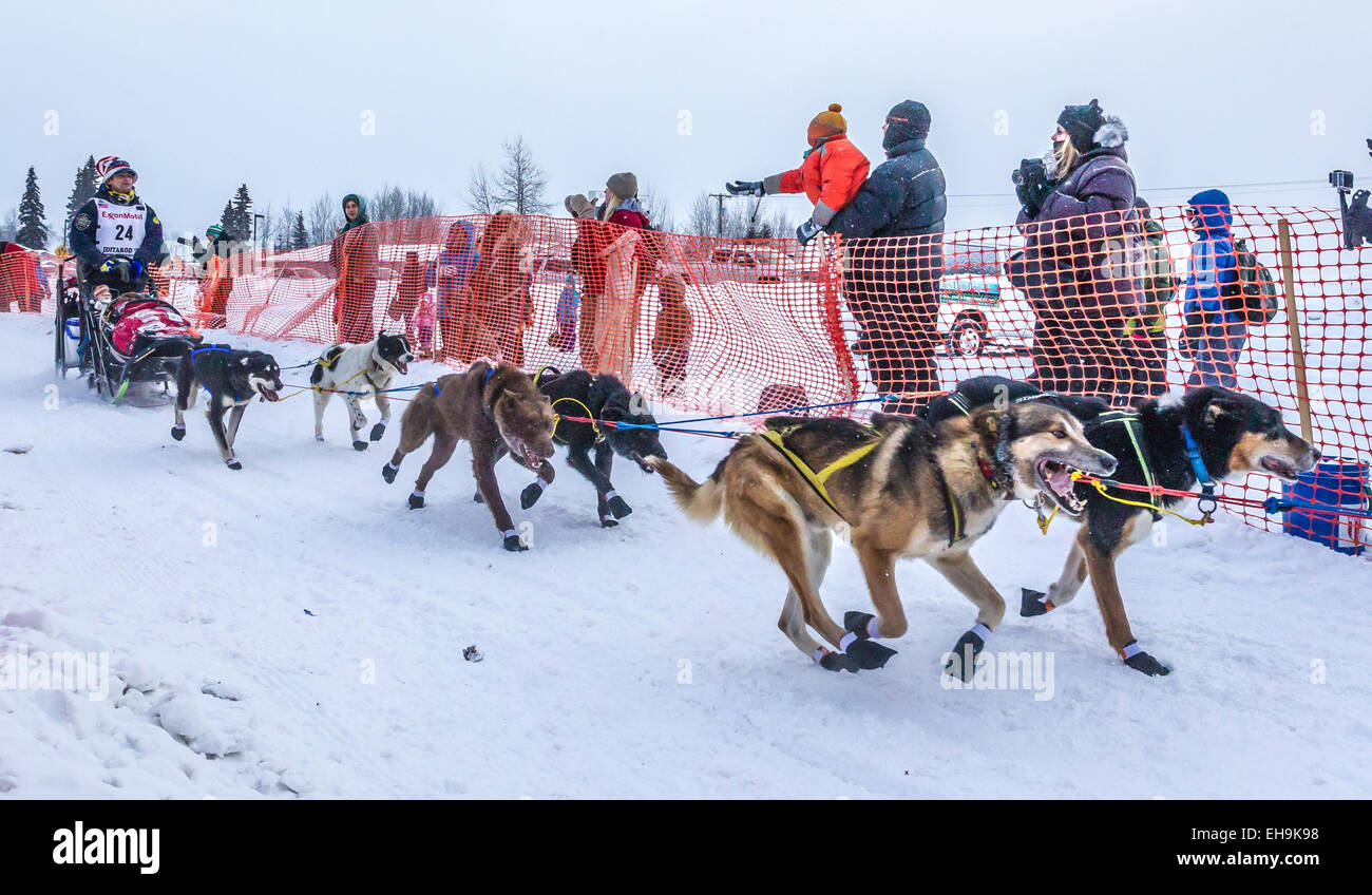 Fairbanks, Alaska. 09th Mar, 2015. Crowd favorite Tok Alaska musher