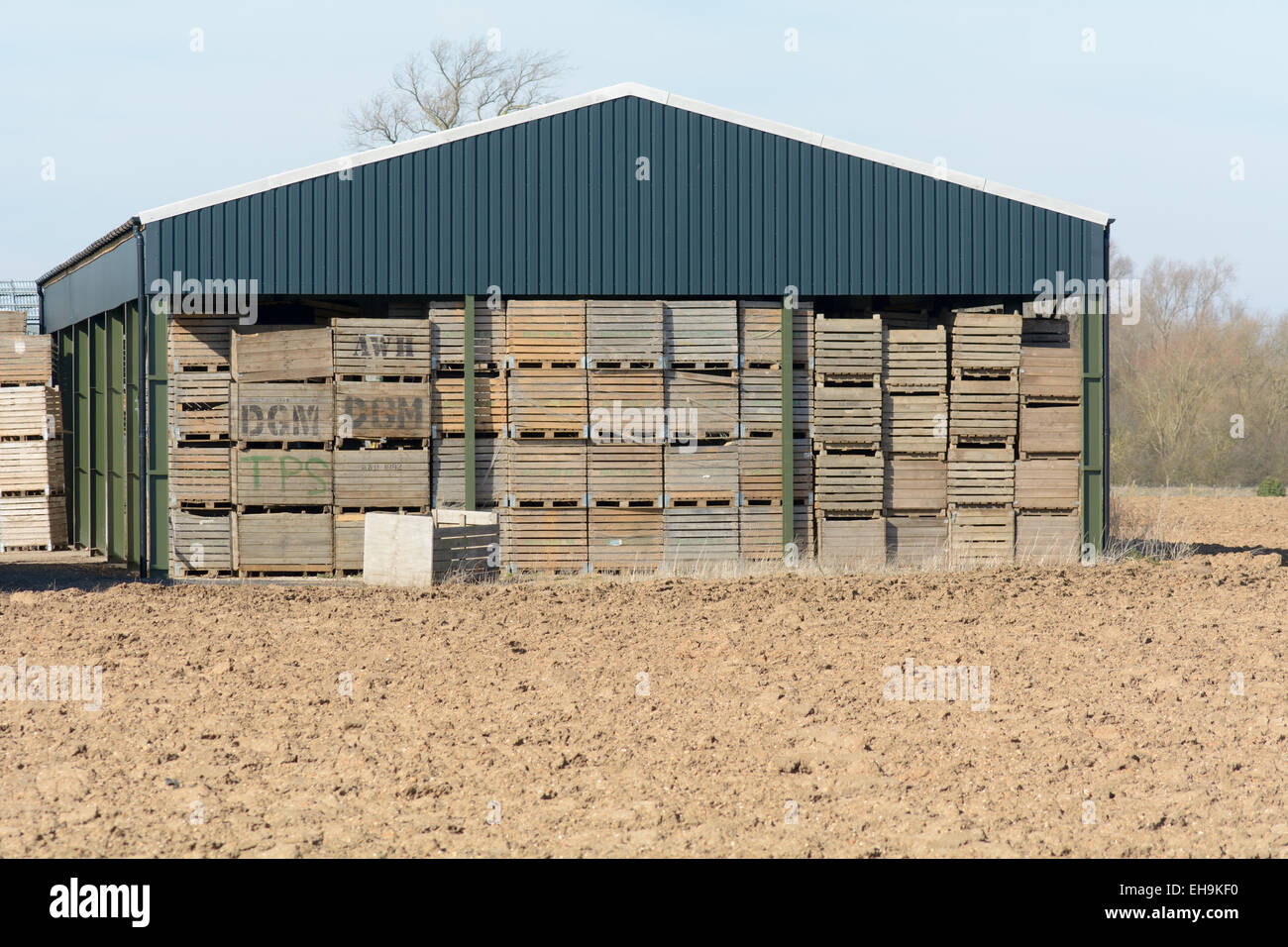 Prefabricated barn full of wooden boxes for stock on farm outside