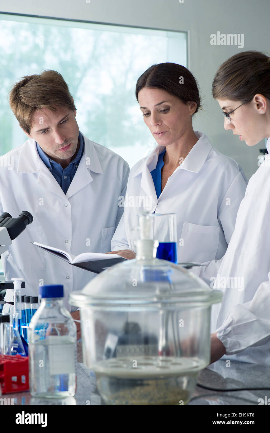 Scientists conducting experiment in laboratory Stock Photo