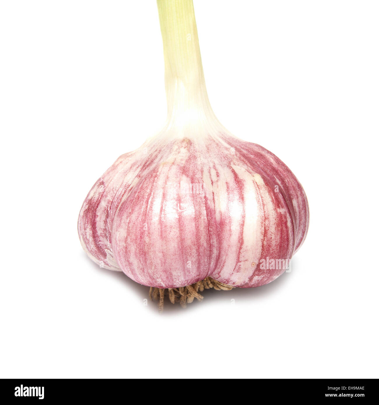 Garlic clove isolated on the white background Stock Photo - Alamy