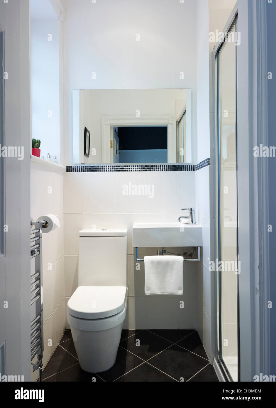 Toilet and washbasin, residential house, Kingsmead, UK Stock Photo
