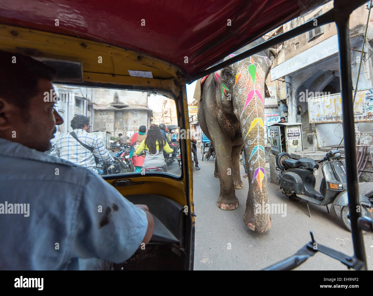 Elephant seen from Auto-rickshaw in Jaipur Street, Rajasthan, India Stock Photo