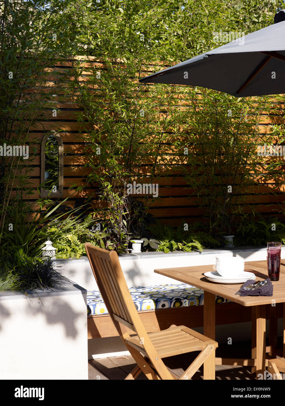 Garden planting detail around seating area with bamboo of Ellerby Street home, UK Stock Photo