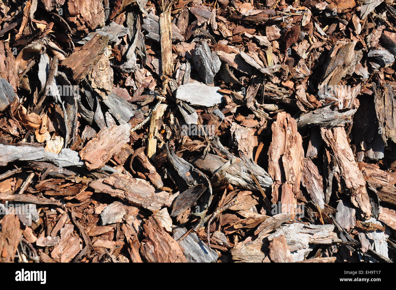 Bark mulch Stock Photo