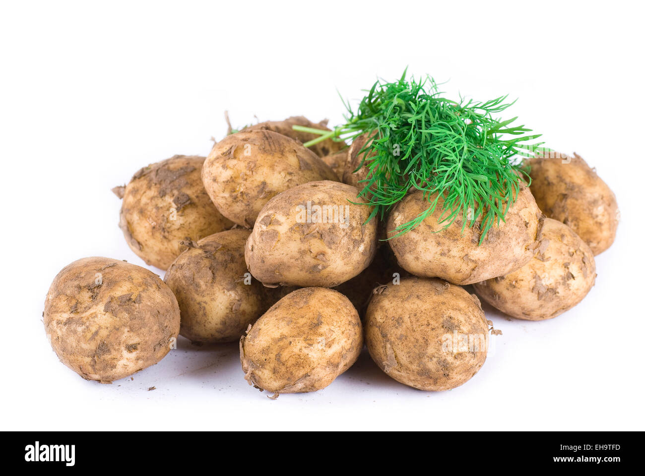 Raw new potato with dill. Stock Photo